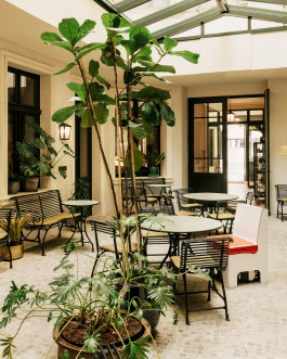 Château Royal Winter garden, interior with benches, tables and potted flowers