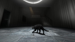 Julia Stoschek Foundation exhibition, still from a black and white animated video of a black cat walking around a dimly lit room